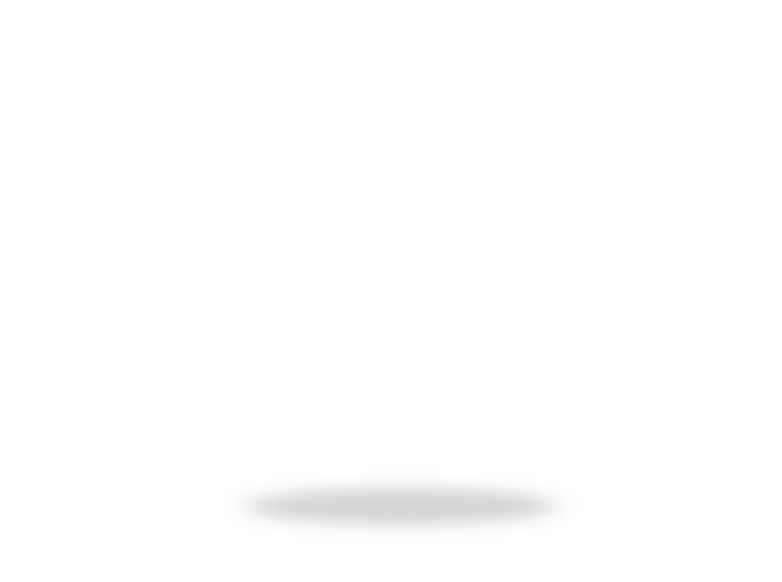 zettit-logo-after-intro-2020-1-2