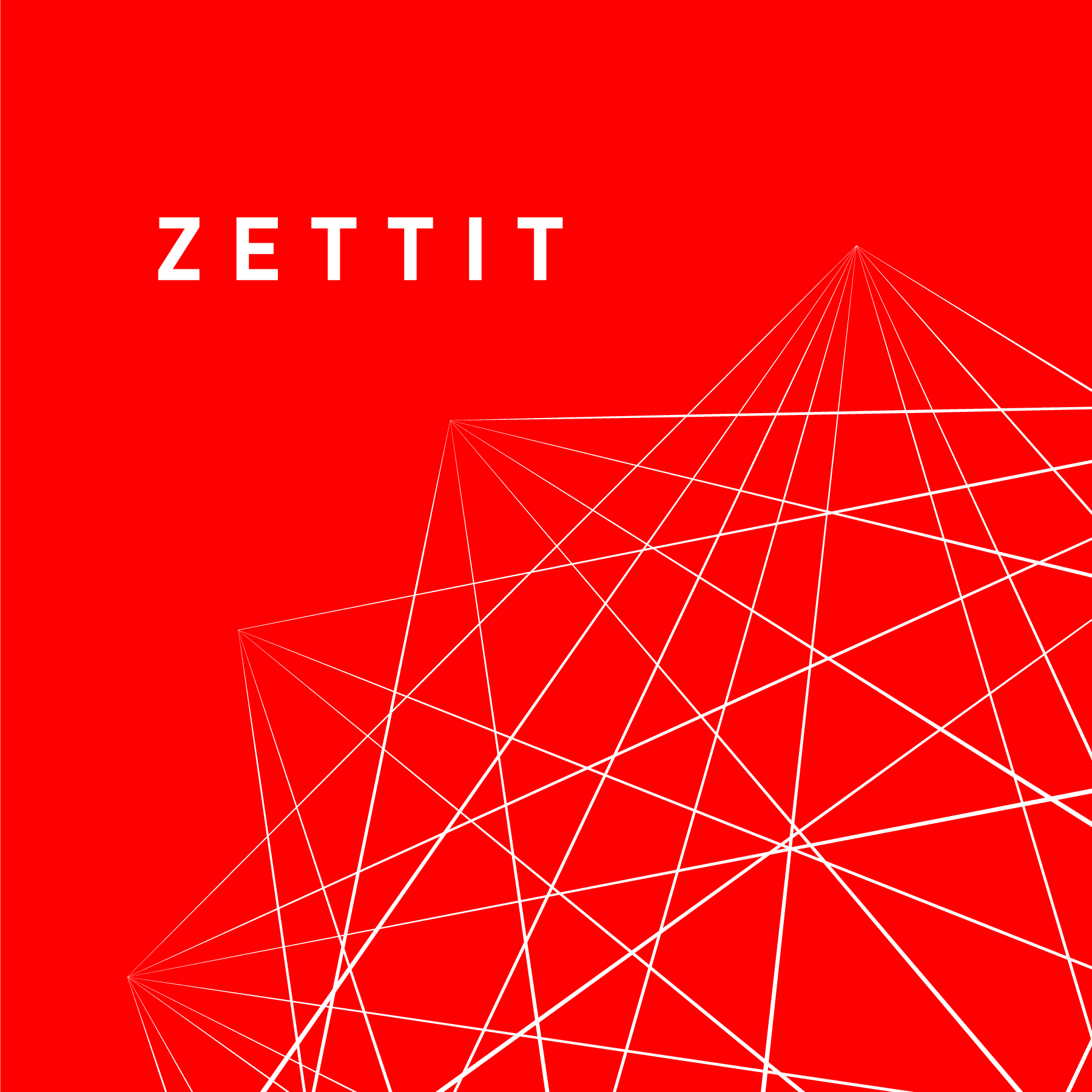 Zettit - Visual Identity